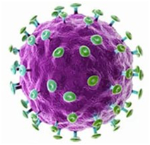 Kas ir cilvēka papilomas vīruss infekcija
